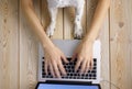 Image of womanÃ¢â¬â¢s hands typing fast on laptop keyboard with dogÃ¢â¬â¢s paws on same tabletop. View from above. Remote work from home Royalty Free Stock Photo